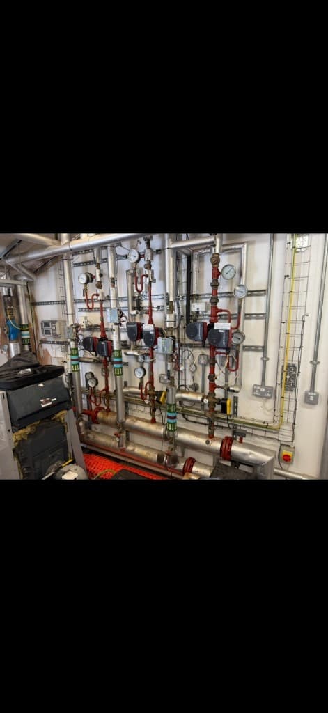 Commercial heating pumps, gauges and distribution pipework at Chieveley Primary School